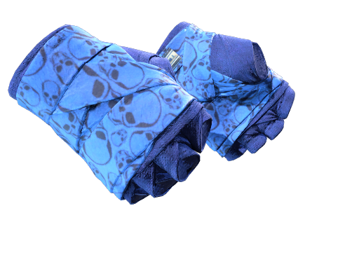 Hand Wraps