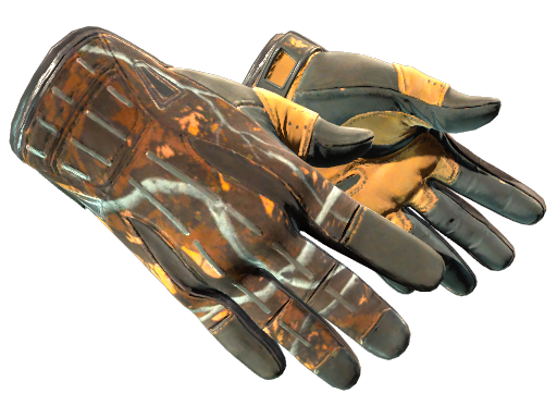 Sport Gloves